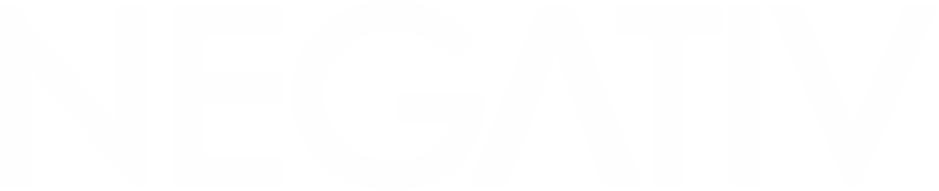 Footer NGV Logo